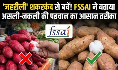क्या आप भी खा रहे हैं 'जहरीली' शकरकंद? FSSAI ने बताया असली और नकली की पहचान का आसान तरीका